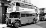 AEC Regent III RT Park Royal 1949 года